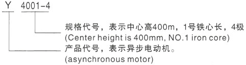 西安泰富西玛Y系列(H355-1000)高压永宁三相异步电机型号说明